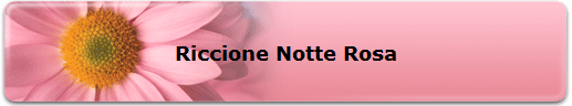 Riccione Notte Rosa