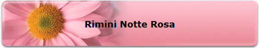 Rimini Notte Rosa