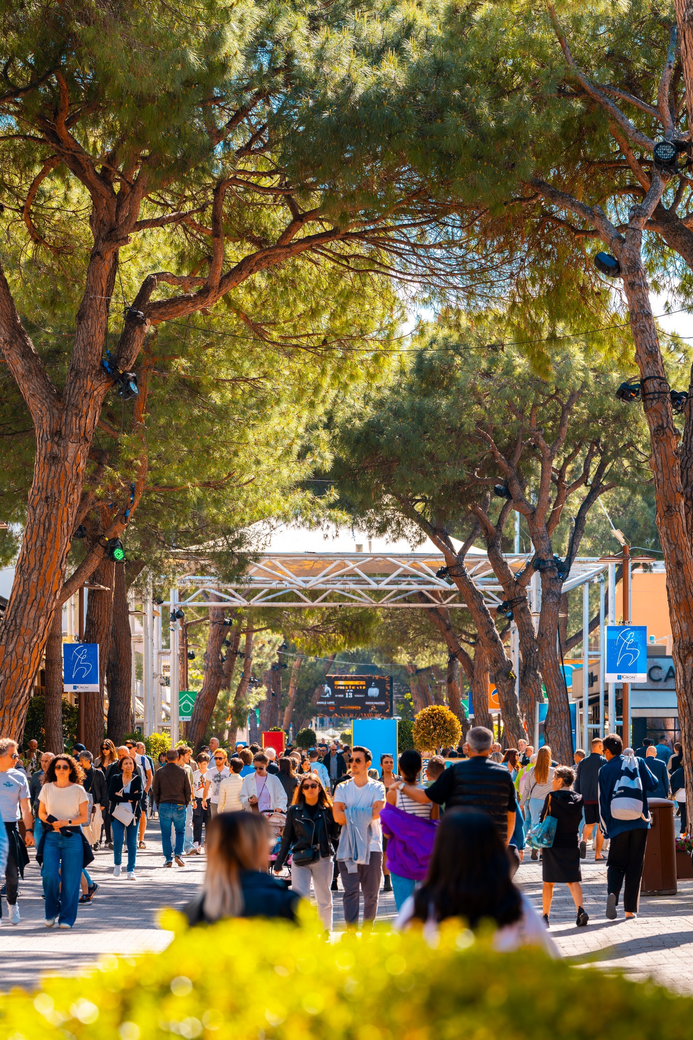 Riccione ti fa sentire in vacanza sempre